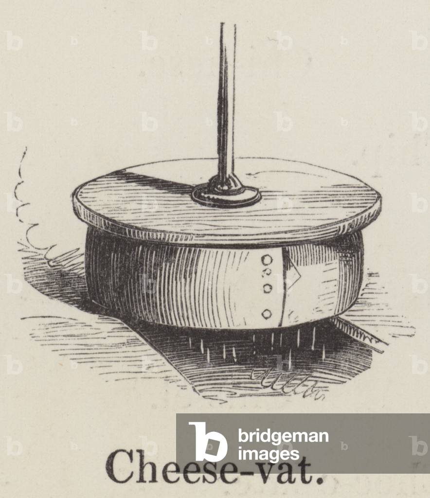 Cheese vat (engraving)