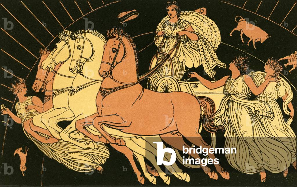 The horses of the morning