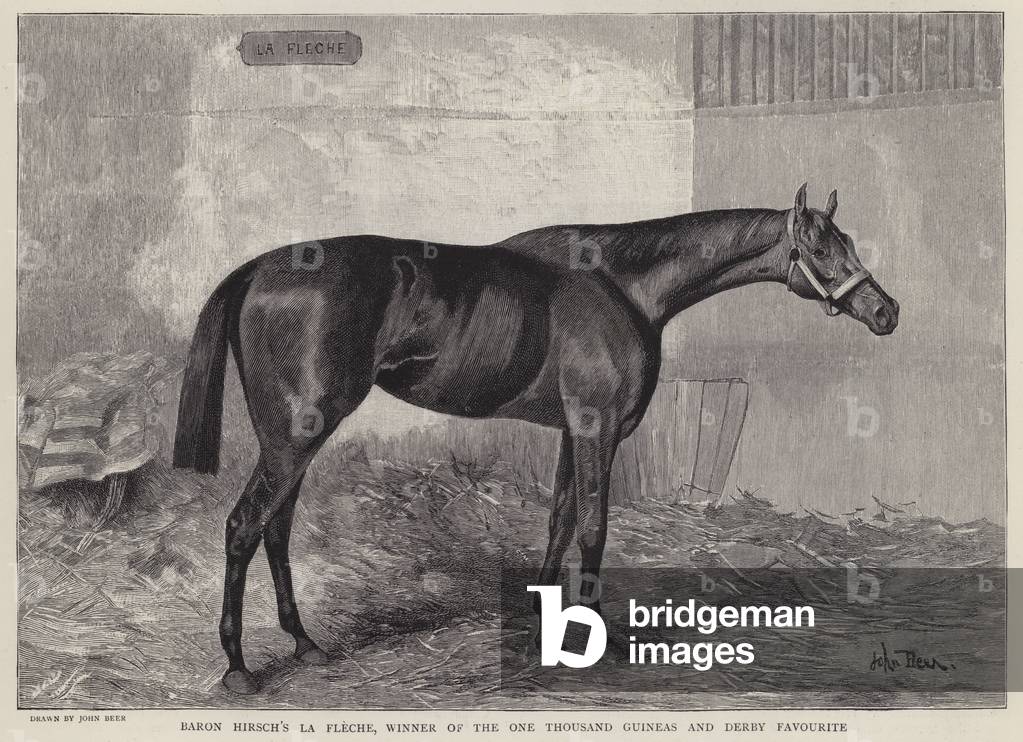 La Fleche, multiple Classic winning racehorse owned by Baron Maurice de Hirsch (litho)