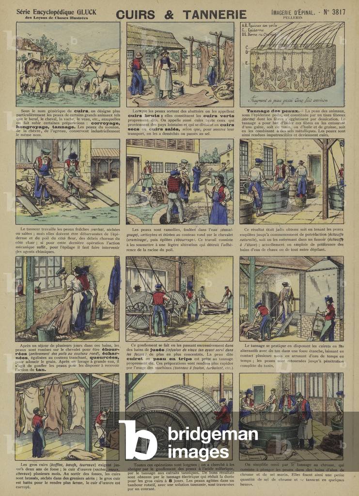 Leather and tanning  (Epinal print)