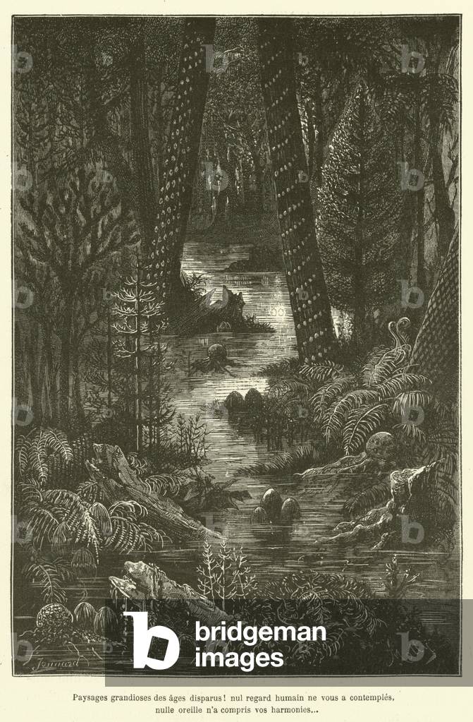 Paysages grandioses des ages disparus! nul regard humain ne vous a contemples, nulle oreille n'a compris vos harmonies (engraving)