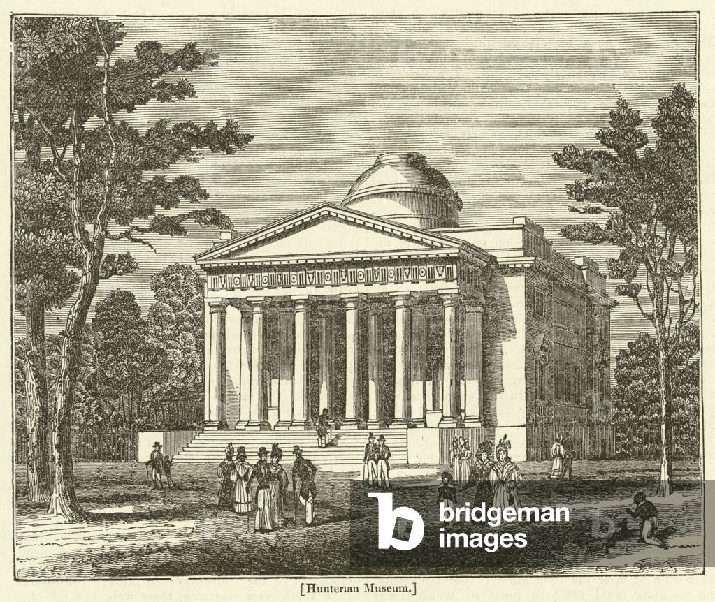 Hunterian Museum (engraving)