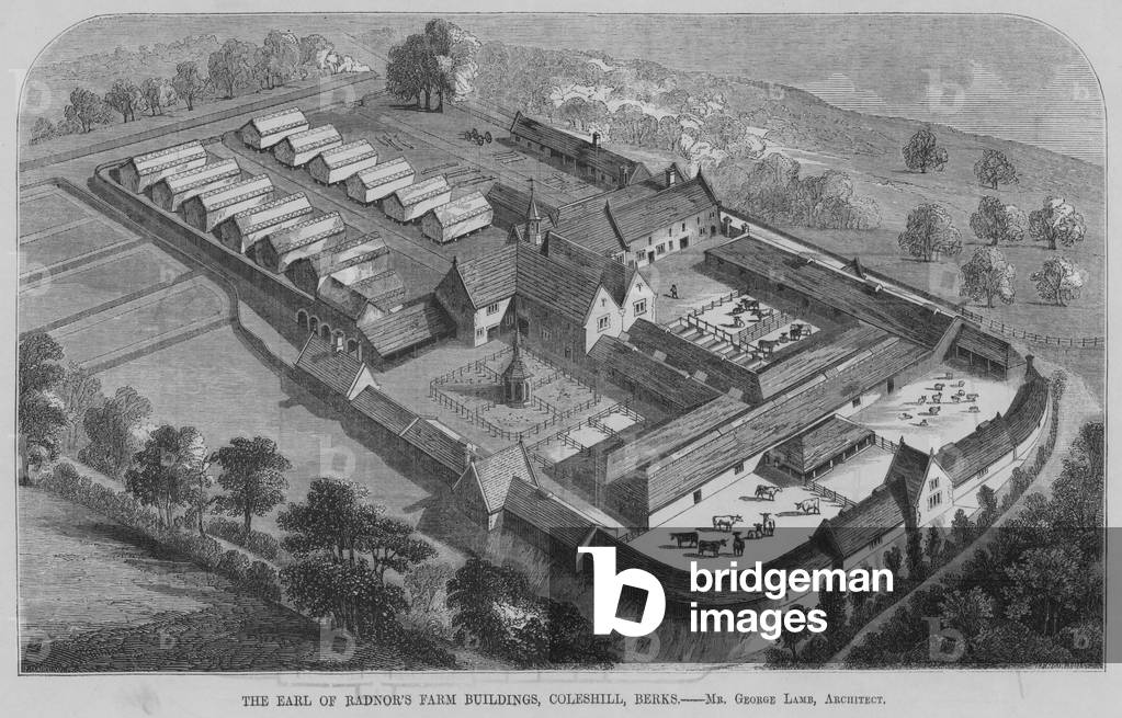 The Earl of Radnor's Farm Buildings, Coleshill, Berks (engraving)