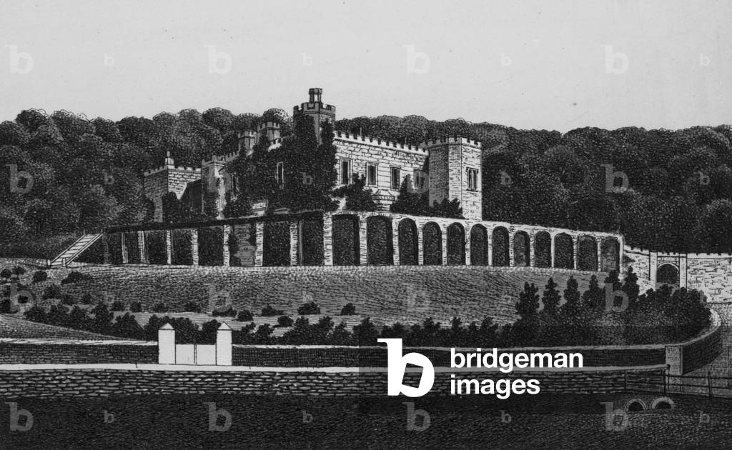 Watermouth Castle (litho)