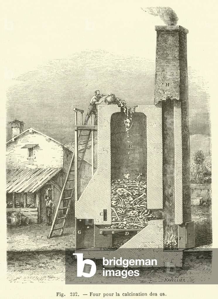 Four pour la calcination des os (engraving)