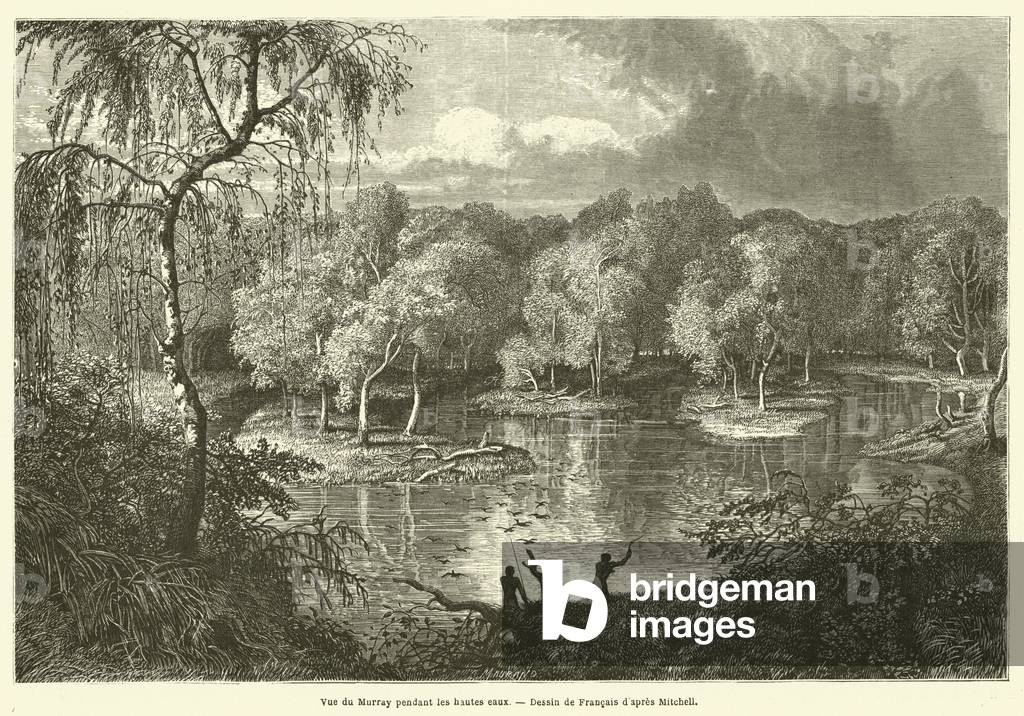 Vue du Murray pendant les hautes eaux (engraving)