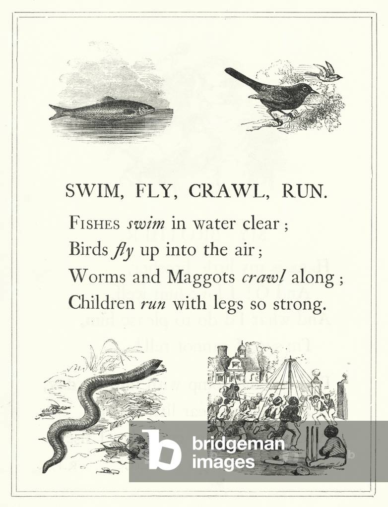Swim, fly, crawl, run (engraving)