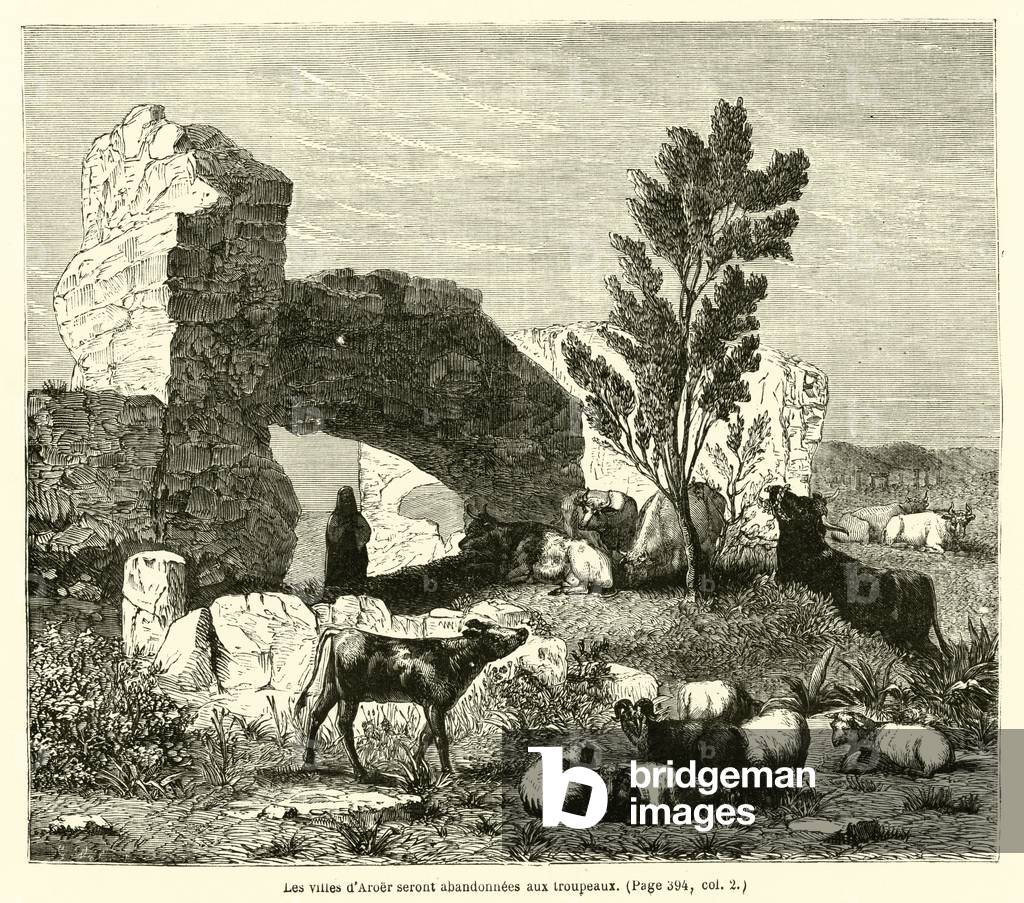 Les villes d'Aroer seront abandonnees aux troupeaux (engraving)