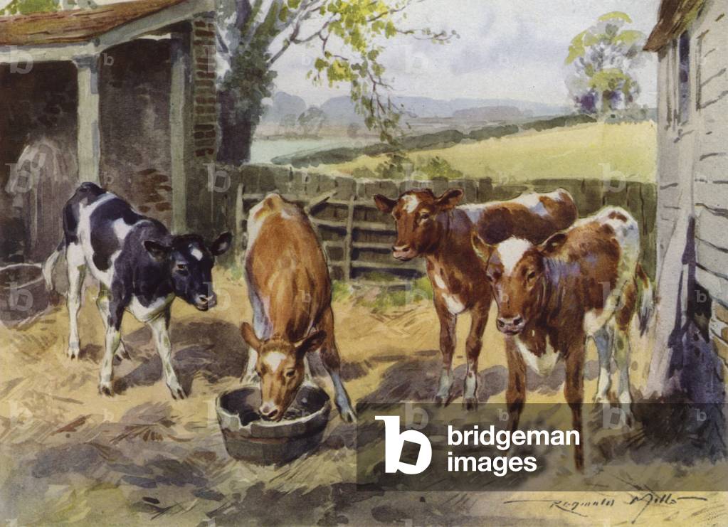 Illustration for My Farm (colour litho)
