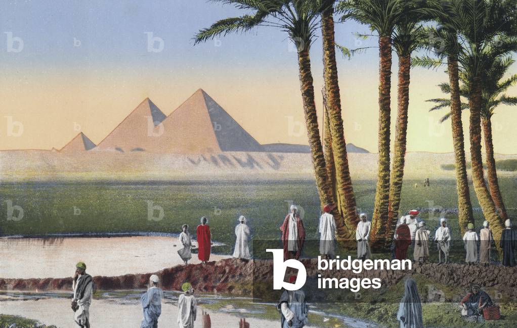 Cairo, Palm Trees near the Guizeh Pyramids (coloured photo)