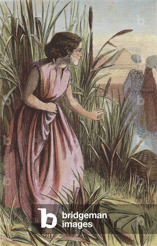 Miriam watching the Ark (coloured engraving)