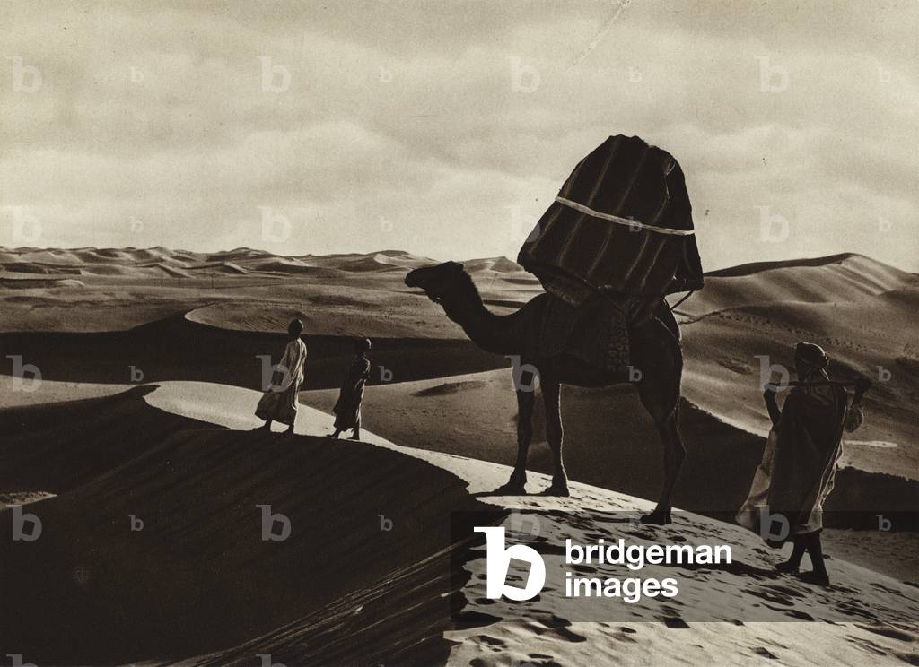 Transport of women through the Sahara (b/w photo)