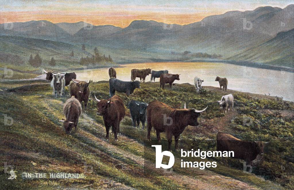 In the Highlands (colour photo)