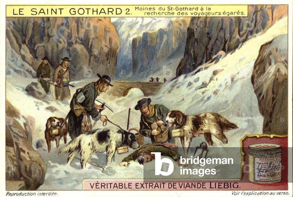 Monks from the St Gotthard Hospice in Switzerland searching for travellers lost in the snow (chromolitho)