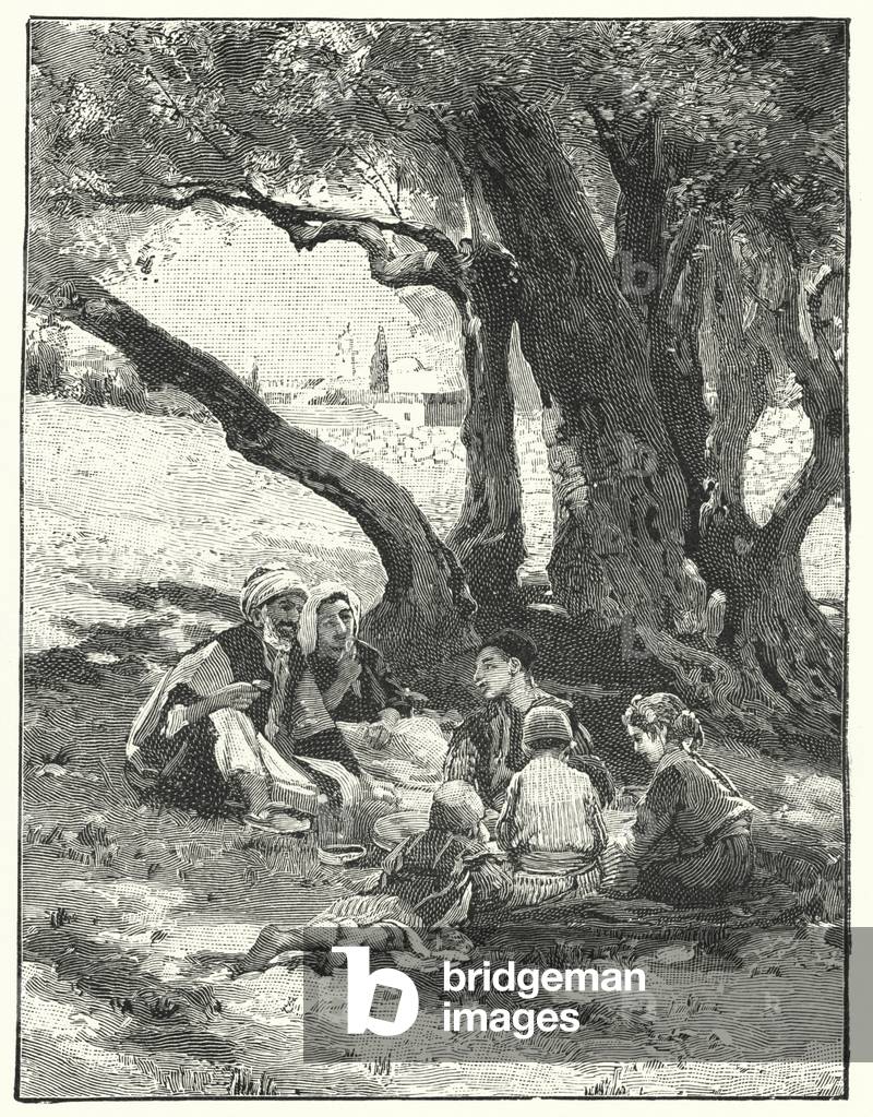 An olive grove near the Mount of Olives (litho)