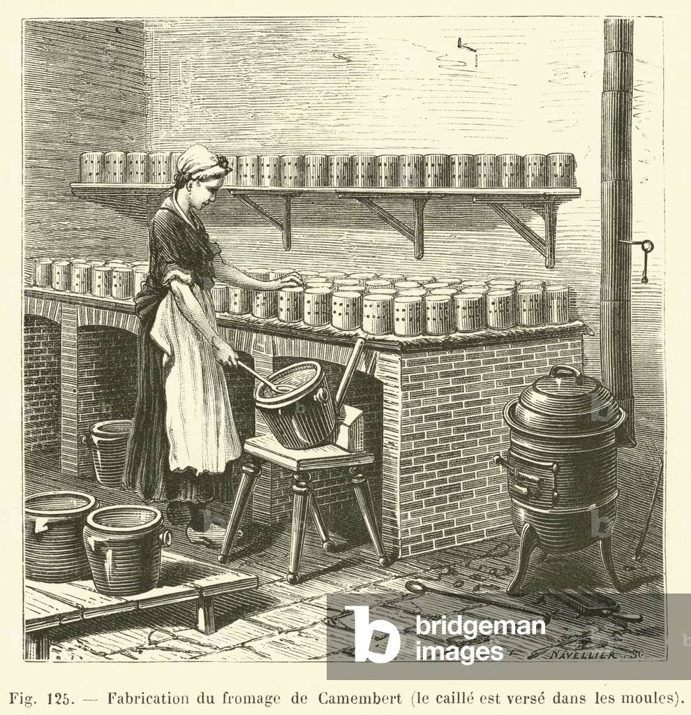 Fabrication du fromage de Camembert, le caille est verse dans les moules (engraving)