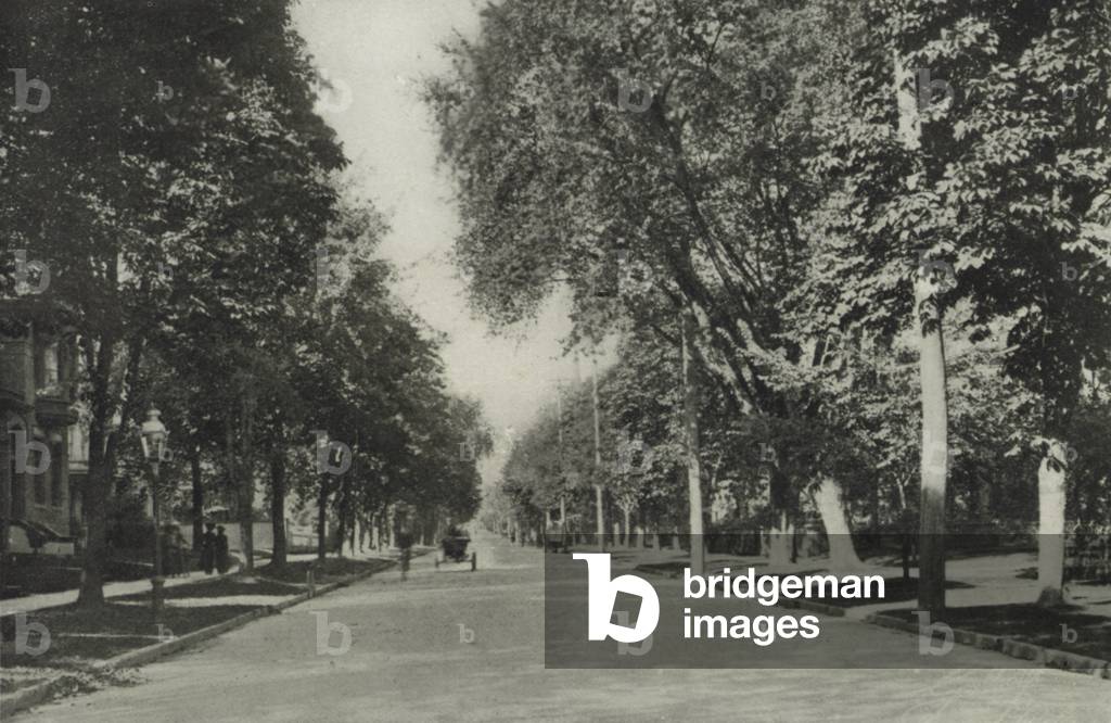 Toronto: Jarvis Street, A Residential Section (b/w photo)
