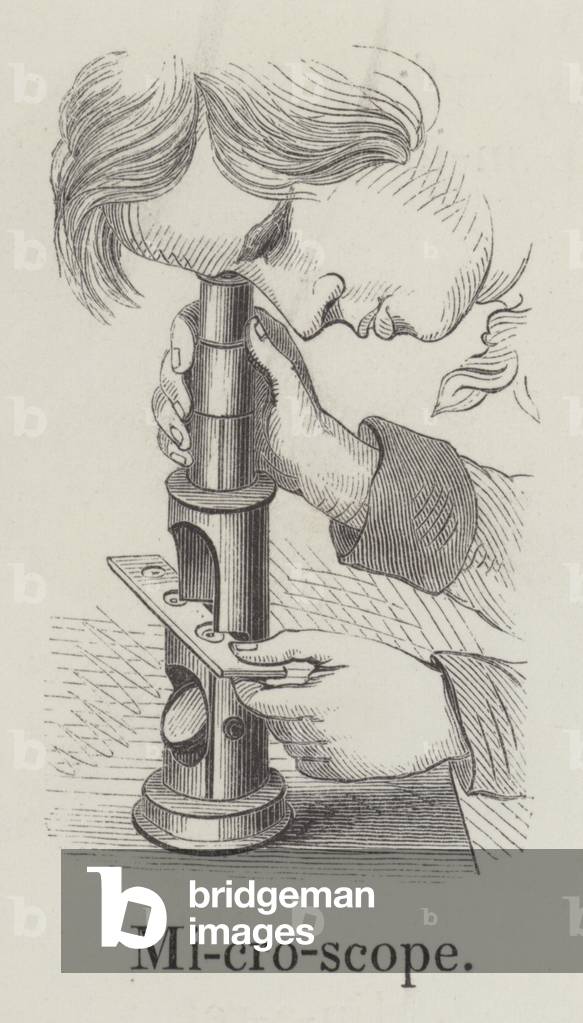 Microscope (engraving)