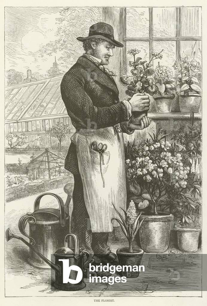 The florist (engraving)