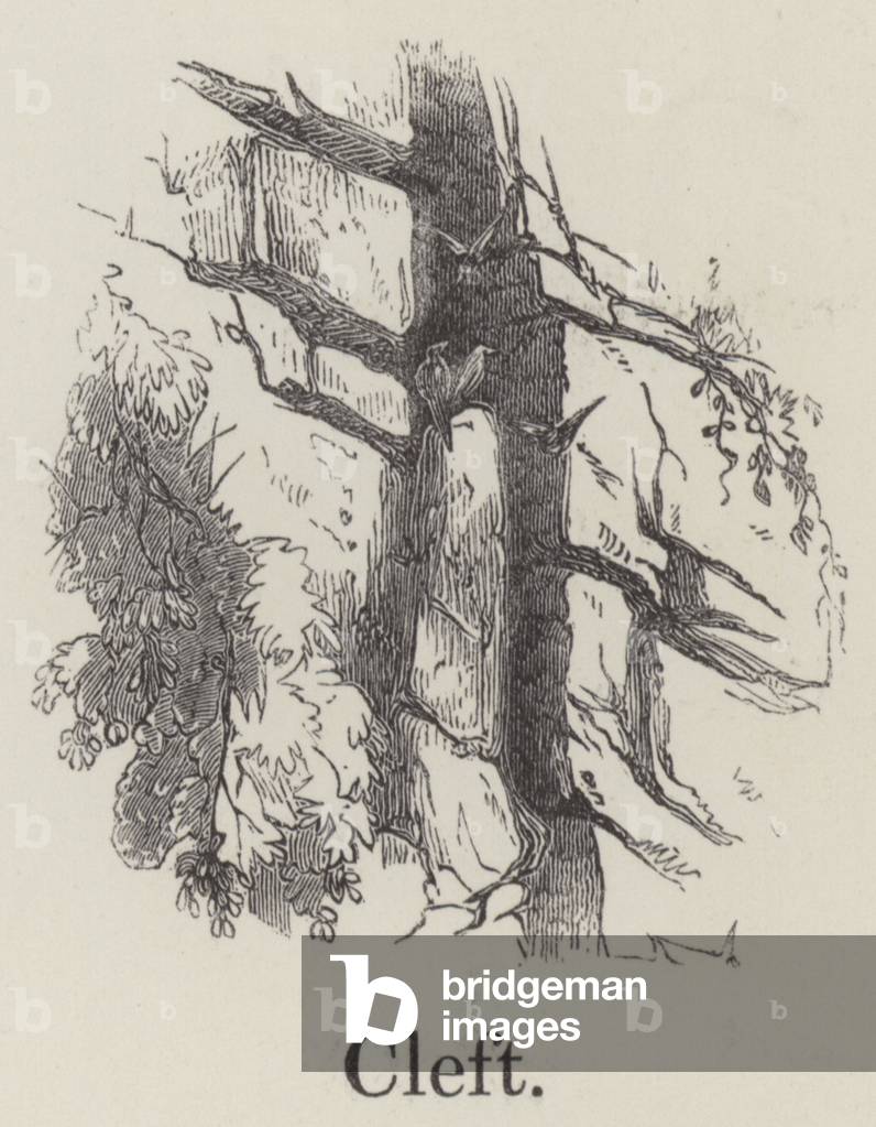 Cleft (engraving)