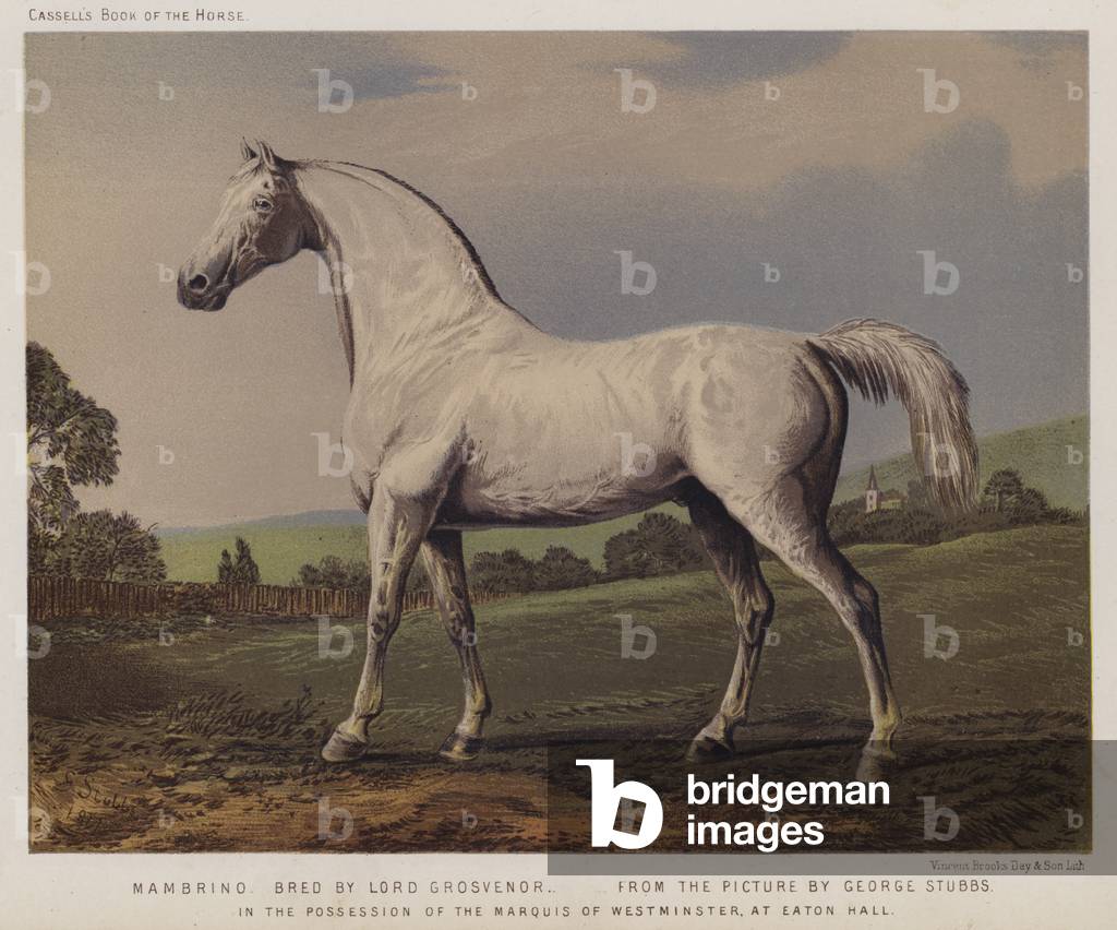 Nambrino, Bred by Lord Grosvenor, In the Possession of the Marquis of Westminster, at Eaton Hall (colour litho)
