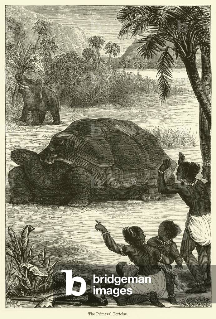 The Primeval Tortoise (engraving)