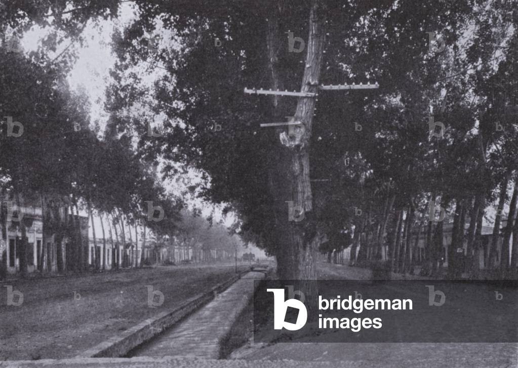 A Mendoza Street (b/w photo)