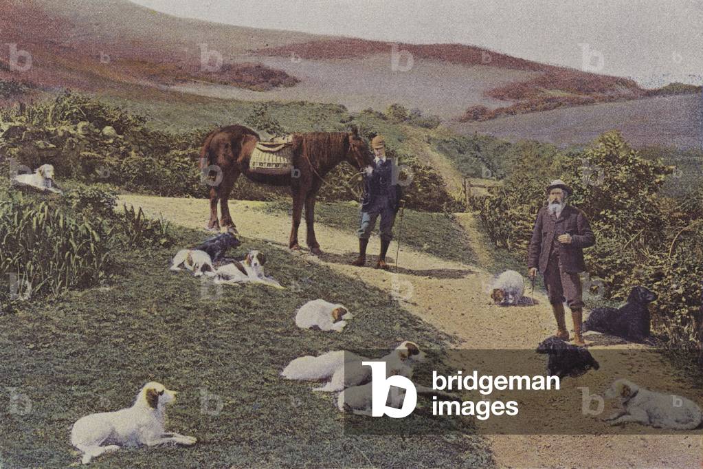 Grouse shooting in Scotland (colour photo)