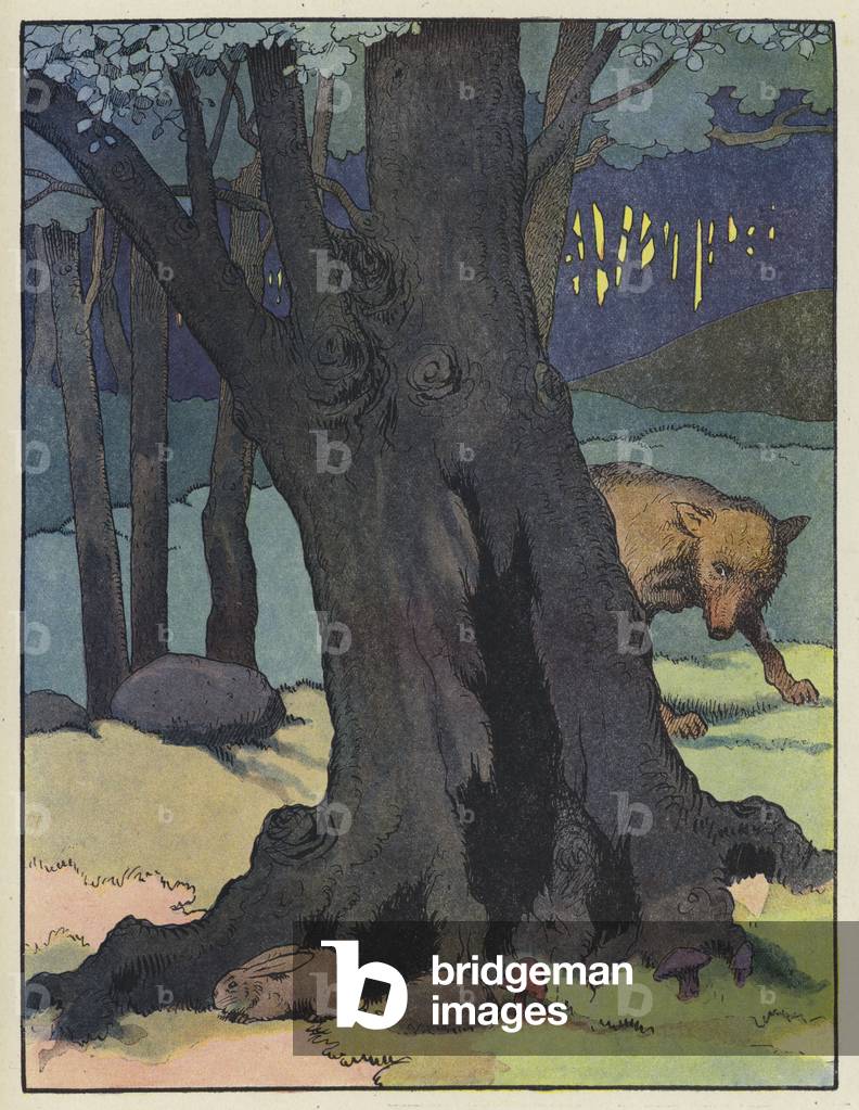 Wolf stalking a rabbit (colour litho)