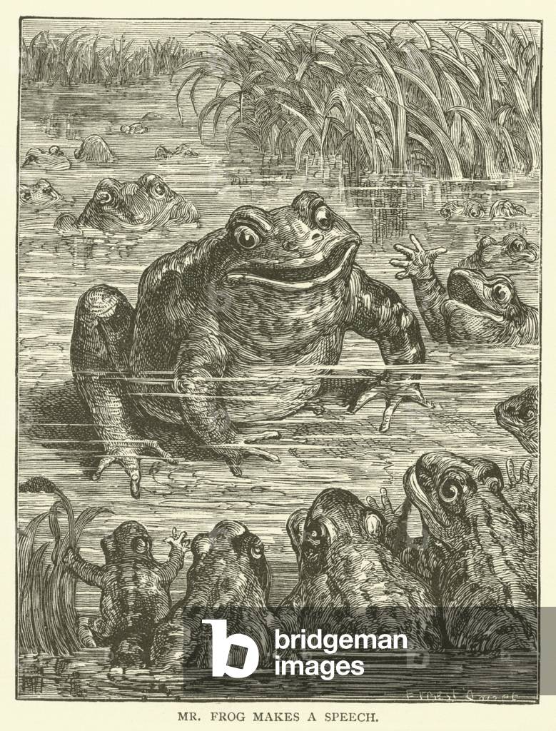 Mr frog makes a speech (engraving)