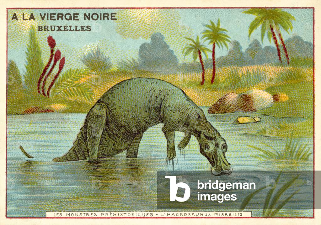 Hadrosaurus Mirabilis (chromolitho)