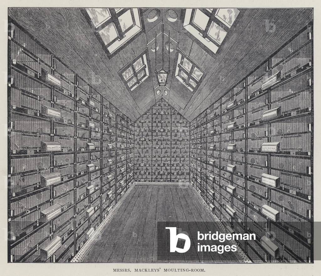 Messrs Mackley's Moulting-Room (colour litho)