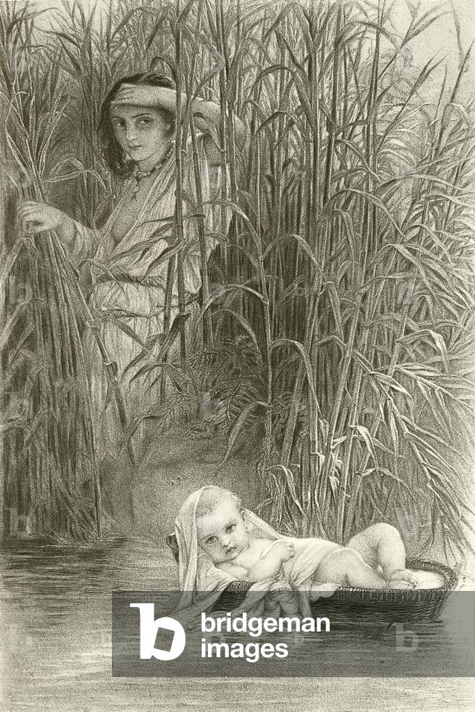 Moses in the bulrushes (gravure)