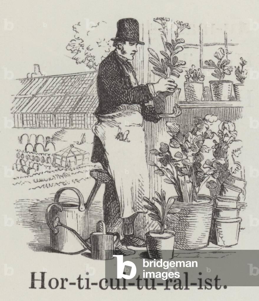 Horticulturalist (engraving)