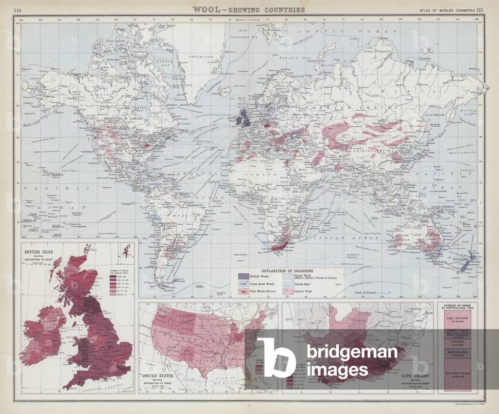 Wool, growing countries (colour litho)