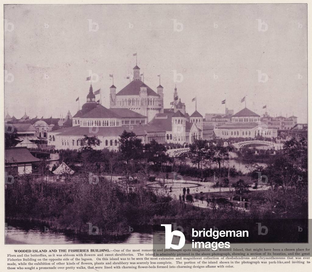 Chicago World's Fair, 1893: Wooden Island and the Fisheries Building (b/w photo)