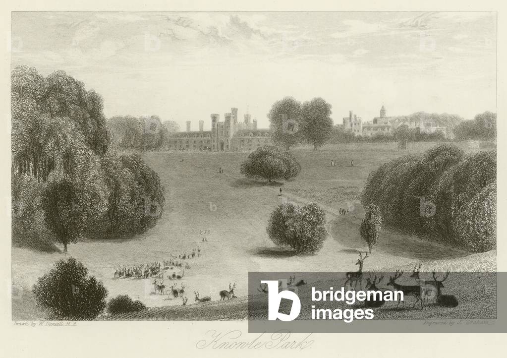 Knowle Park (engraving)
