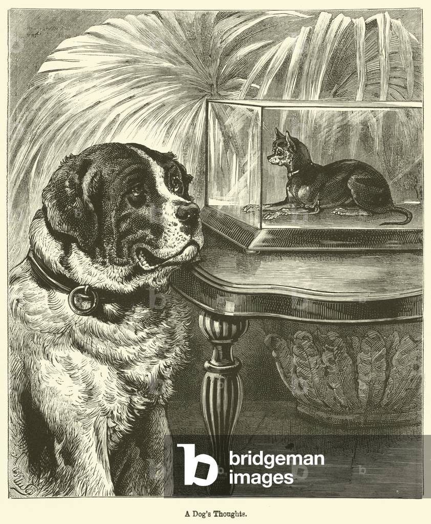 A Dog's Thoughts (engraving)
