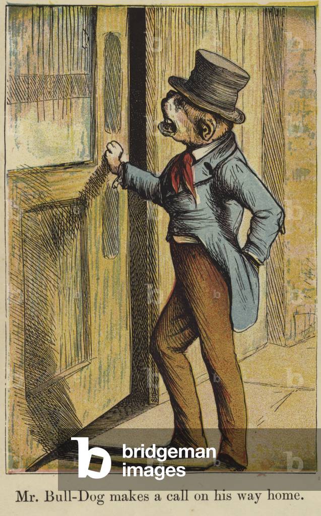 Mr Bull-Dog makes a call on his way home (colour litho)