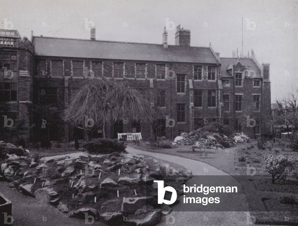 First Buildings erected on the University Road Site, now occupied by the Department of Zoology and Botany (b/w photo)