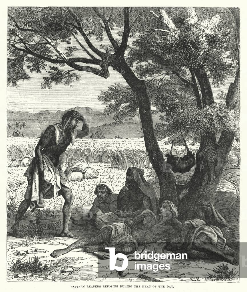 Eastern Reapers reposing during the Heat of the Day (engraving)