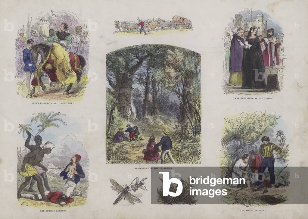 Page from the Attractive Picture Book (coloured engraving)