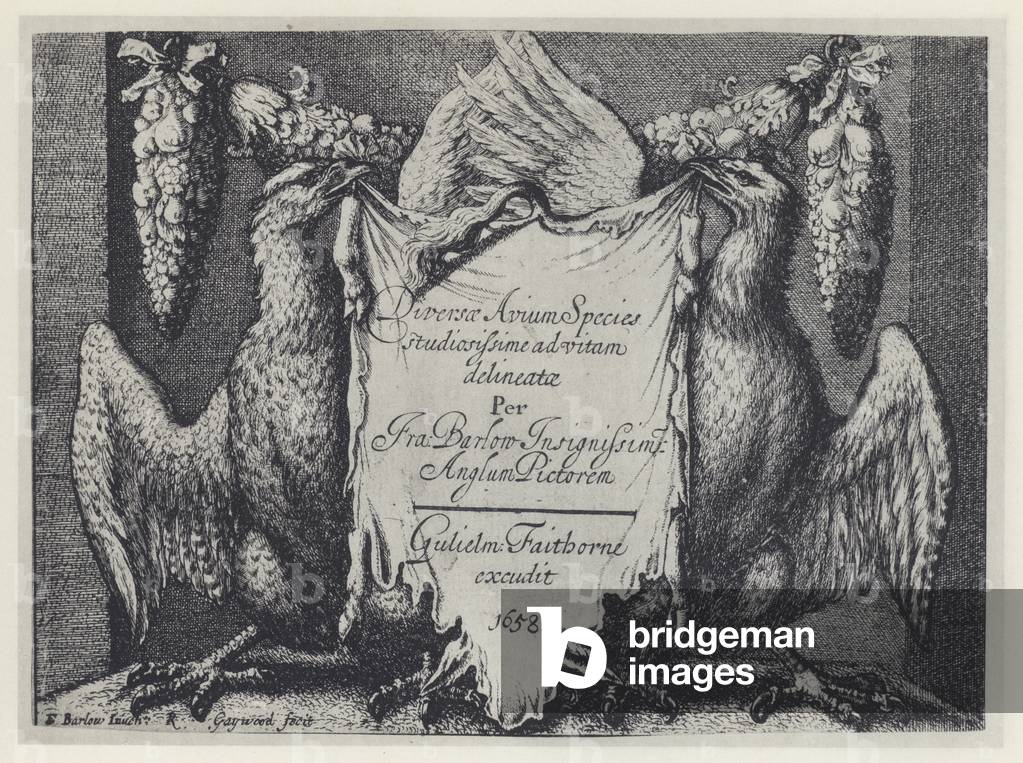 F Barlow, Diversae avium species, G Faithorne 1658 (b/w photo)