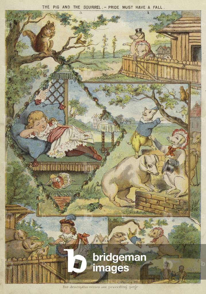 The pig and the squirrel - pride must have a fall (chromolitho)