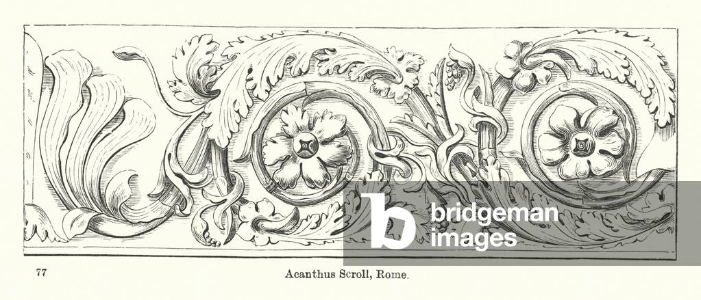 Acanthus Scroll, Rome (engraving)