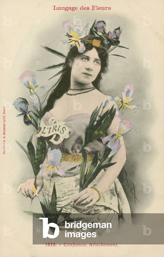 Language of Flowers, Iris (colour photo)