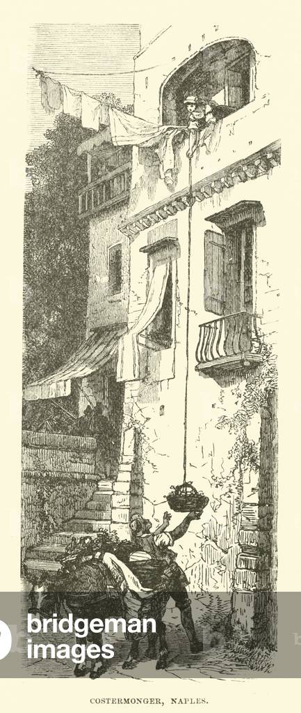 Costermonger, Naples (engraving)