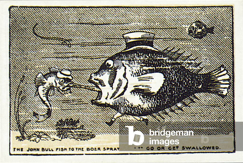 Cigarette card, Boer War cartoon (litho)