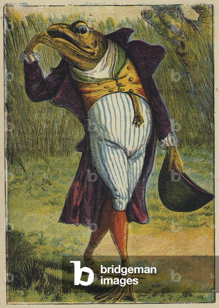 The Frog in Full Dress (colour litho)