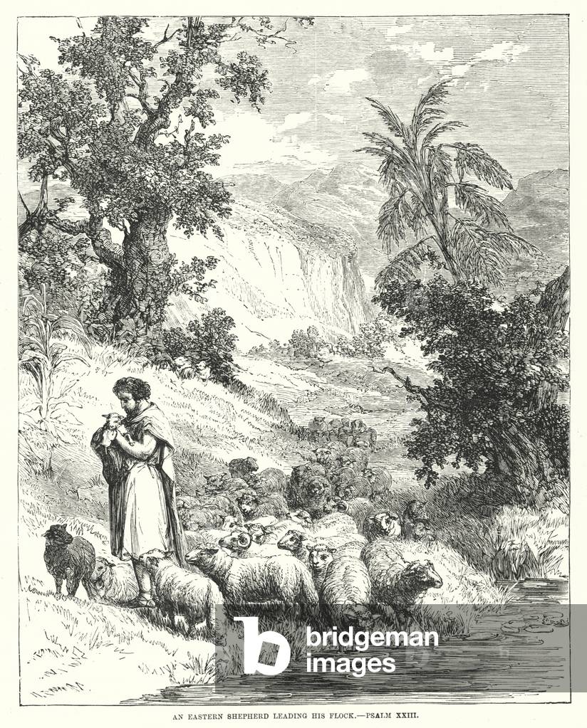 An Eastern Shepherd leading his Flock, Psalm XXIII (engraving)